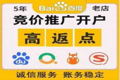 某公司SEM推广的失败教训与成功经验